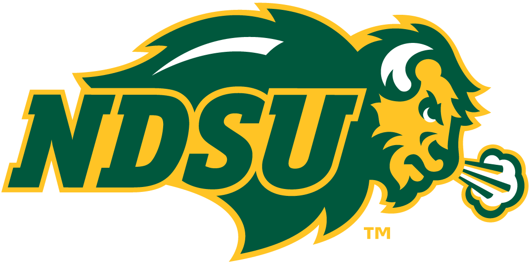 North Dakota State Bison 2012-Pres Primary Logo diy iron on heat transfer